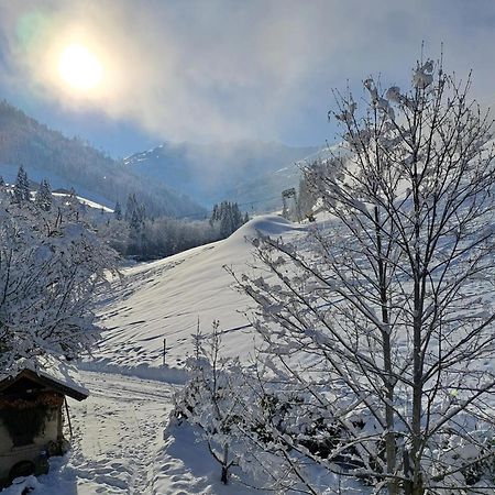 Ferienwohnungen Lehenhof Alpbach Extérieur photo