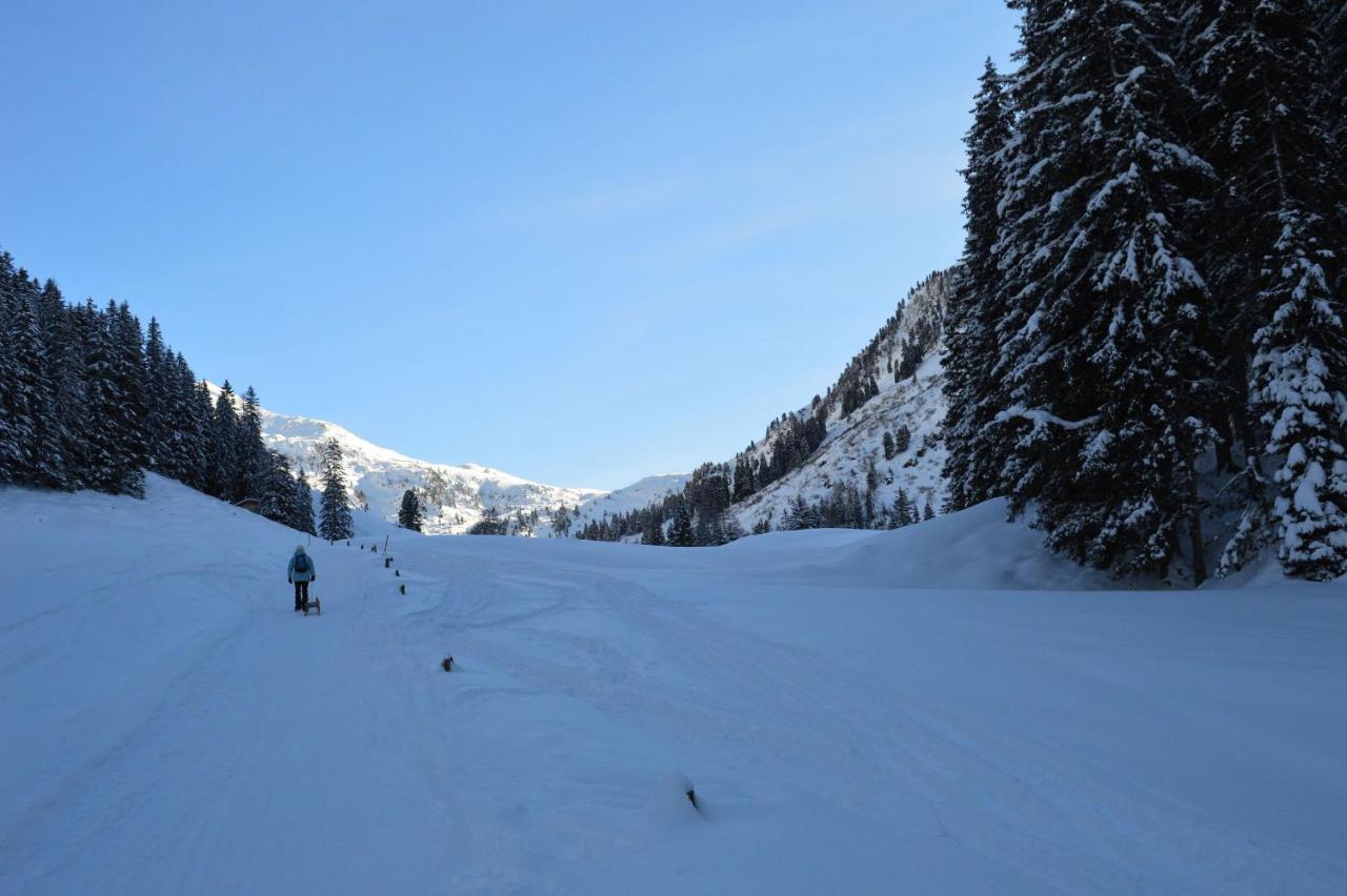 Ferienwohnungen Lehenhof Alpbach Extérieur photo