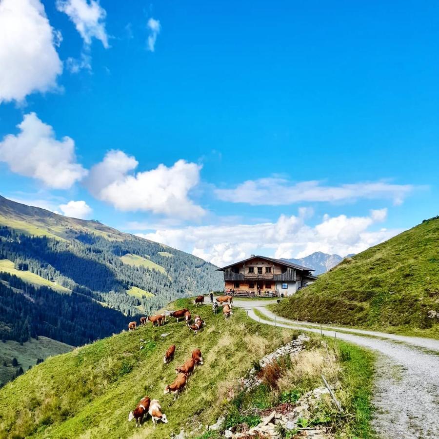 Ferienwohnungen Lehenhof Alpbach Extérieur photo