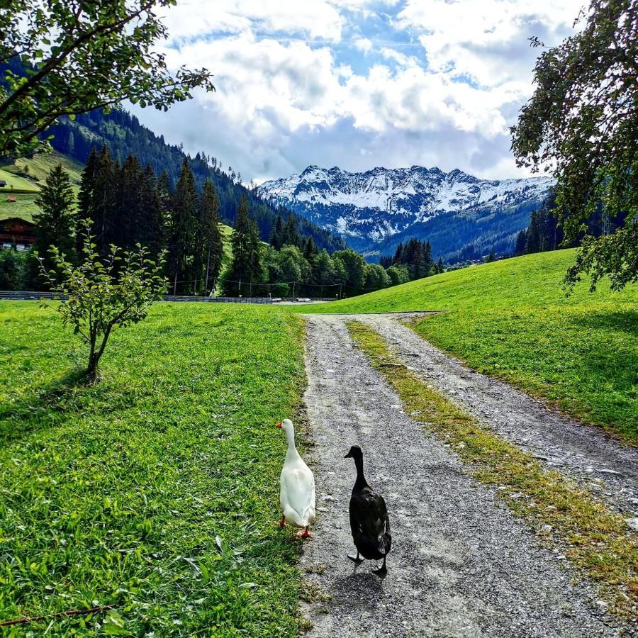 Ferienwohnungen Lehenhof Alpbach Extérieur photo