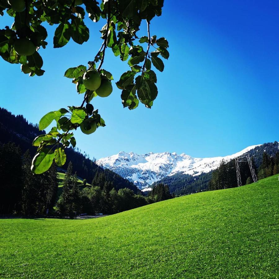 Ferienwohnungen Lehenhof Alpbach Extérieur photo
