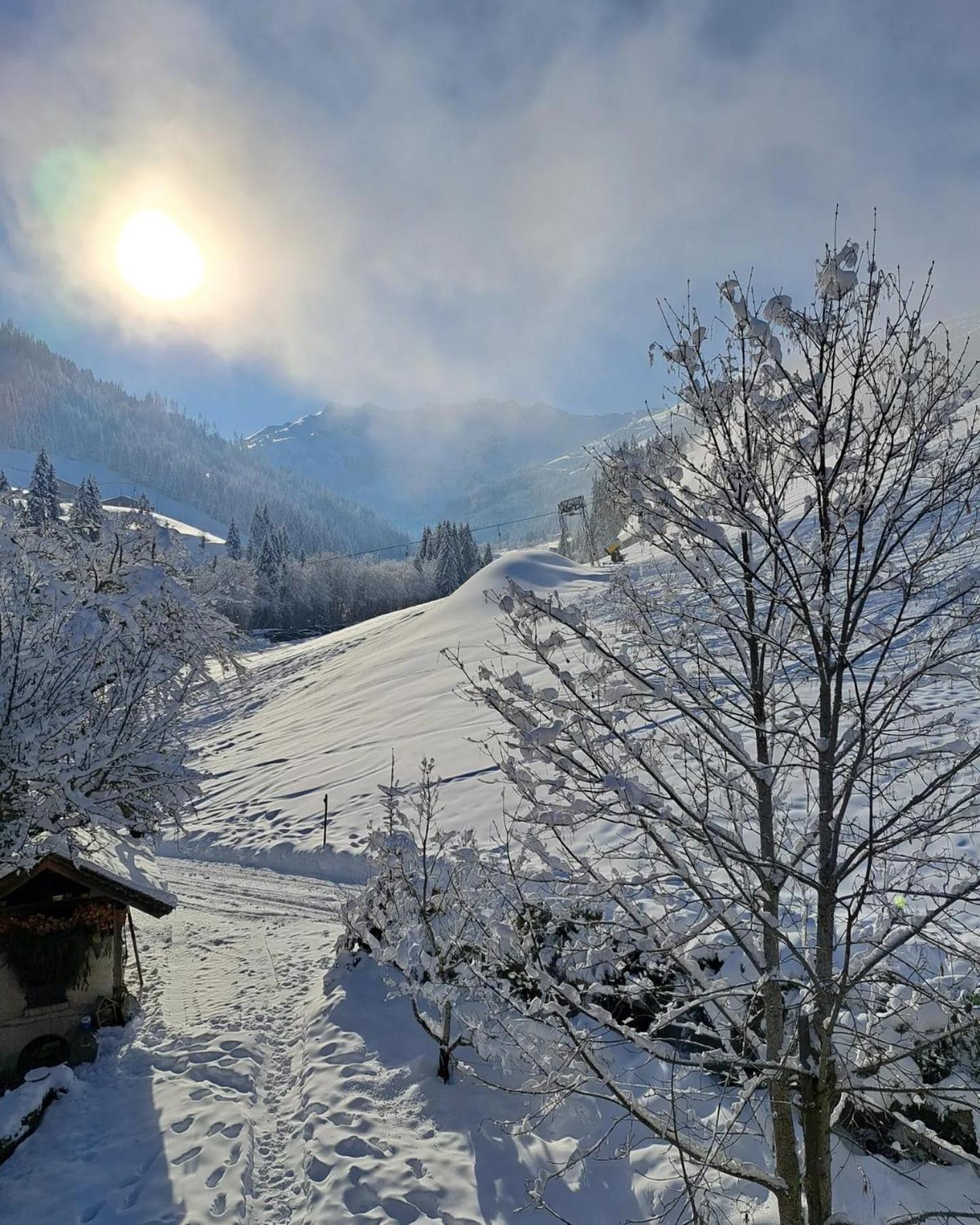 Ferienwohnungen Lehenhof Alpbach Extérieur photo